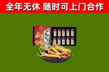 运城市烟酒回收冬虫夏草礼盒.jpg